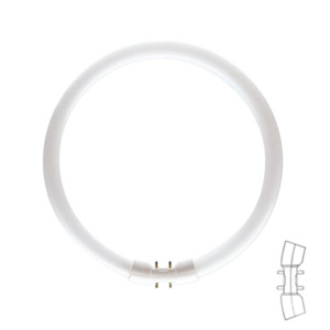 Fluorescent Lamps: T5 Circular Fluorescent Lamp 2GX13 40W 840 Cool White [T5 40w] - $69.00 incl GST : Lighting The Lighting Centre NZ