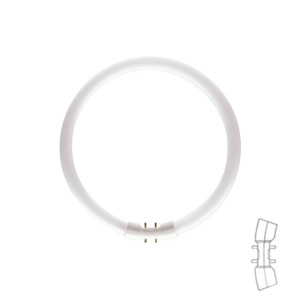 T5 Circular Fluorescent Lamp 2GX13 22W 840 Cool White The Lighting Centre NZ