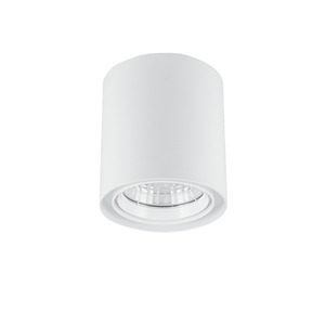 Surface Mounted LED Downlights: Delta Round 118mm Surface Mount Downlight The Lighting Centre NZ