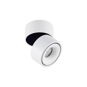 Surface Mounted LED Downlights: Pheeb 100mm Adjustable Surface Mount Downlight The Lighting Centre NZ