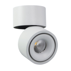 Surface Mounted LED Downlights: Pheeb 75mm Adjustable Surface Mount Downlight The Lighting Centre NZ
