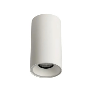 Surface Mounted LED Downlights: Zela Fixed Clear Lens Surface Mount Downlight The Lighting Centre NZ