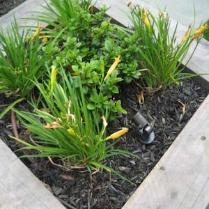 Spike Light: LED Colour Spike Spot Light IP66 in Blue/Green/White Superlux Lighting - LLED7010