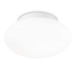 Bubble Outdoor Ceiling/ Wall Light White