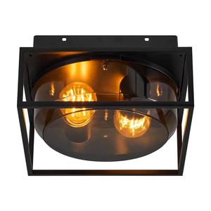 Griffin Ceiling Light 2Lt Black / Smoked