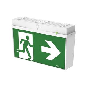 Eurotech: Bardic EGRLPG2 All-In-One Running Man Emergency LED Exit Light