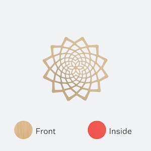 Davidtrubridge: Red Sunflower