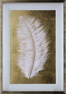 Art: White Feather Shadow Box