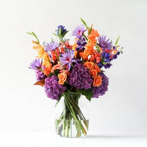 Products: Beautiful Brights