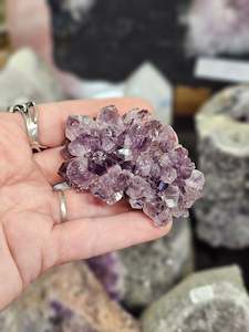 Raw Stones: Amethyst Pine Cluster #2