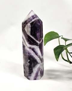 Chevron Amethyst Point