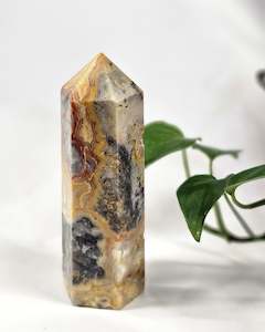 Frontpage: Crazy Lace Agate Point