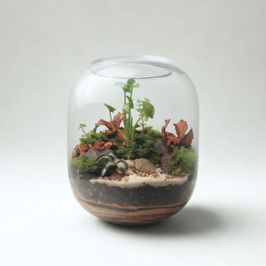 Artful Plant Arangements: Terrarium - The Statement