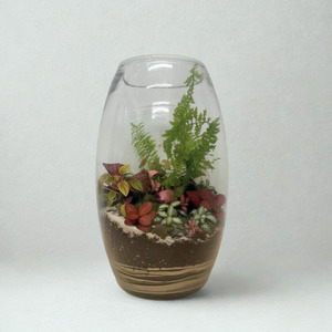 Artful Plant Arangements: Terrarium - The Showstopper