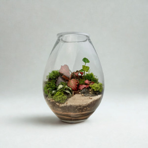 Terrarium - The Classic