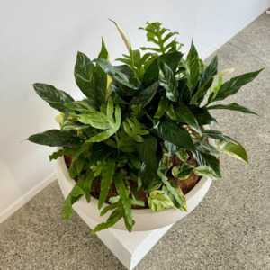 Evergreen Lily Bouquet