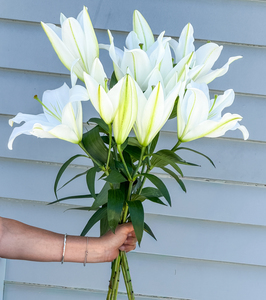Products: Bunch of Lilies