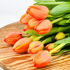 Products: Tulip Stems