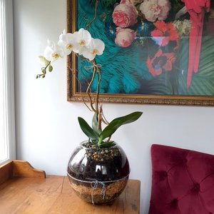 Products: Large Orchid Bowl