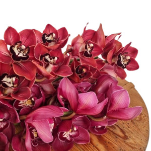 Products: Large Orchid Stems