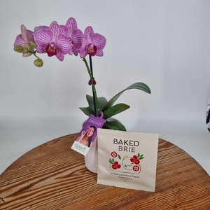 Orchid & Baked Brie