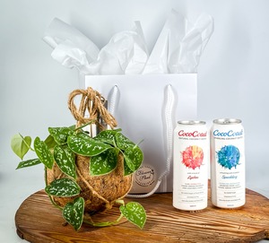 The Coconut Bundle