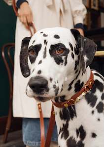 AURA ANIMALE - SOUL DOG COLLAR - CHESTNUT