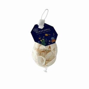Sea shells mini clam white