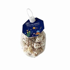 Sea shells mini patterned