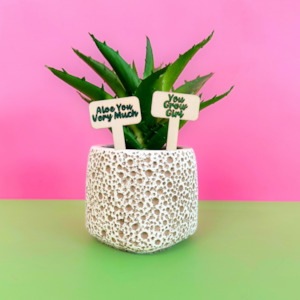 Fairy Garden Supplies: Mini Garden Signs