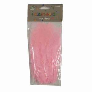 Feathers 1: Pink Feathers