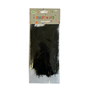 Feathers 1: Black Feathers