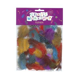 Craft Feathers - Assorted Colours