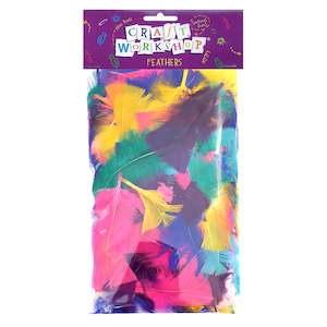 Feathers 1: Craft Colour Feathers - Bright