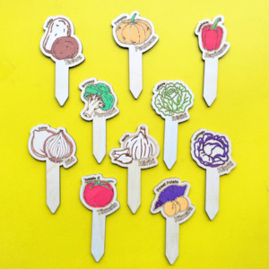 Nature Themed Crafts 1: Te Reo Veggie Plant Markers