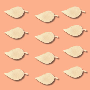 Wooden Blanks: Leaf Basic Wood Shape