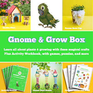 All Craft Kits: Gnome and Grow Box