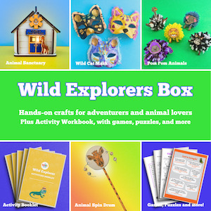 Wild Explorers Box