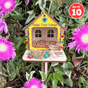 All Craft Kits: Set of 10 - Tweet Treat Cottage