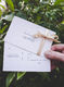 Gift Voucher