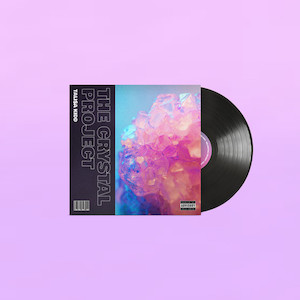 Products: THE CRYSTAL PROJECT VINYL The Meat Preachers