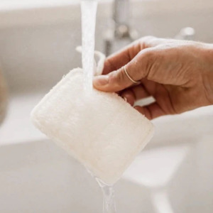 Seed Sprout: Kitchen Loofah Set