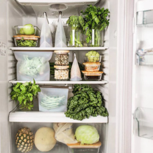 Seed Sprout: Silcone Fresh Food Pouches