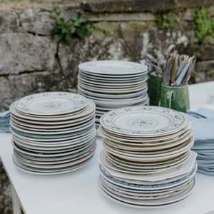 The Minimal Co: Eclectic Vintage Dinner Plates (Set of 10)