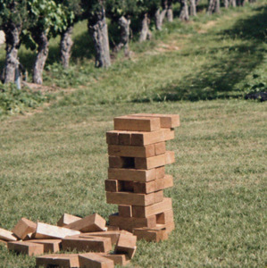The Minimal Co: Giant Jenga