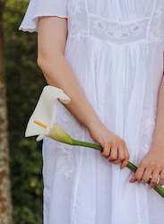 Frontpage: The Daphne pre-order