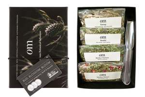 Bud, Blossom & Bloom Tea Gift Set