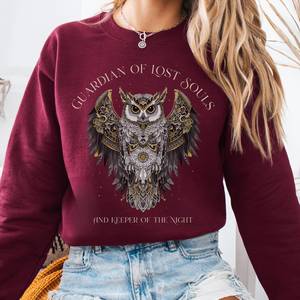 Book Shirts Tshirts For Book Lovers Literary Tshirts: Guardian of Lost Souls Mythic Owl Sweatshirt