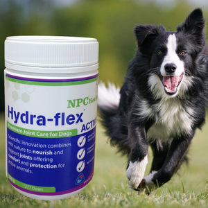 Hydra-flex Joint Supplement For Dogs Boost Mobility Today