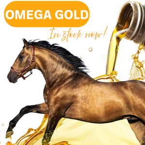 Omega GOLD Best Omega Oil For Horses Fish Oil